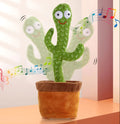 Dancing & Talking Cactus